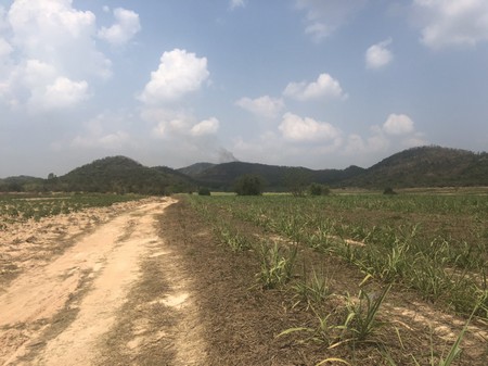 ขายที่ดินเปล่า  ตำบลป่าหวาย  อำเภอสวนผึ้ง  ราชบุรี  พื้นที่  227  ไร่  3  งาน  64  ตรว. รูปที่ 1