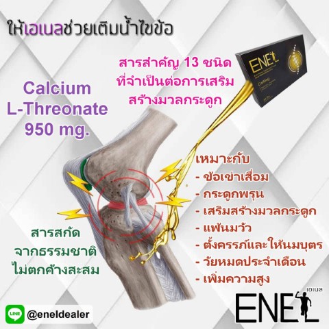 Enel CalMag เอเนล แคลแม็ก อาหารเสริมบำรุงกระดูก ไม่สะสม  ไม่ก่อให้เกิดหินปูนในร่างกาย รูปที่ 3