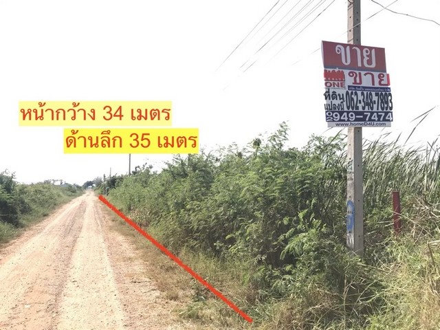 ขาย ที่ดิน ถมแล้ว ต.ลำไทร อ.ลำลูกกา เนื้อที่ 300 ตรว. รูปที่ 1