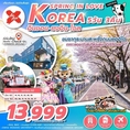 ทัวร์เกาหลี KOREA SPRING IN LOVE 5D3N XJ  ราคาเริ่ม 13,999 บาท