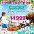 ทัวร์เกาหลี ปิดเทอมใหญ่ หัวใจว้าวุ่น 5วัน 3คืน  เริ่มเพียง 15,999 บาท