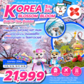 ทัวร์เกาหลี KOREA BLOSSOM BLOOM 5D3N XJ  เริ่มเพียง 21,999 บาท