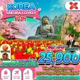 ทัวร์เกาหลี บินดึก กลับดึก (6D3N)   เริ่มเพียง 25,900 บาท