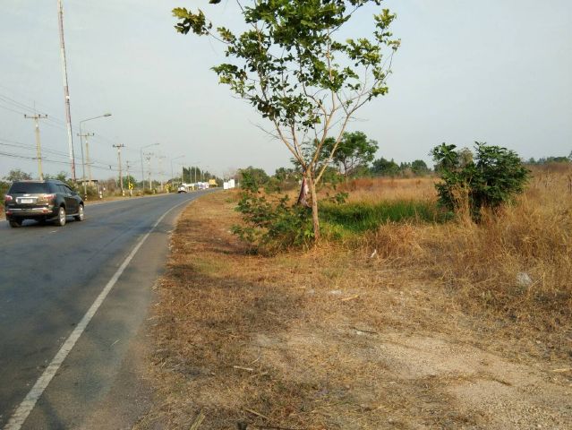 ขายที่ดิน ที่ถมแล้ว 7 ไร่ ติดถนนทางหลวง 3211 หันคา บ้านไร่ รูปที่ 3