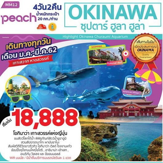 ทัวร์ญี่ปุ่น OKINAWA ซุปตาร์ ฮูลา ฮูล่า 4D2N  ราคาเริ่มเพียง 18,888 บ. รูปที่ 1