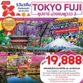 ทัวร์ญี่ปุ่น TOKYO FUJI 5D3N  เริ่มเพียง 19,888 บ.