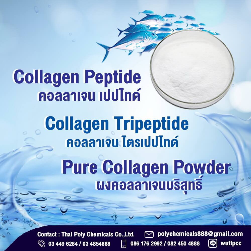 ไฮโดรไลซ์ คอลลาเจน, Hydrolyzed Collagen, ไฮโดรไลส์ คอลลาเจน, Hydrolysed Collagen คอลลาเจนผง รูปที่ 1