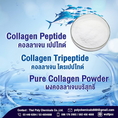 ไฮโดรไลซ์ คอลลาเจน, Hydrolyzed Collagen, ไฮโดรไลส์ คอลลาเจน, Hydrolysed Collagen คอลลาเจนผง