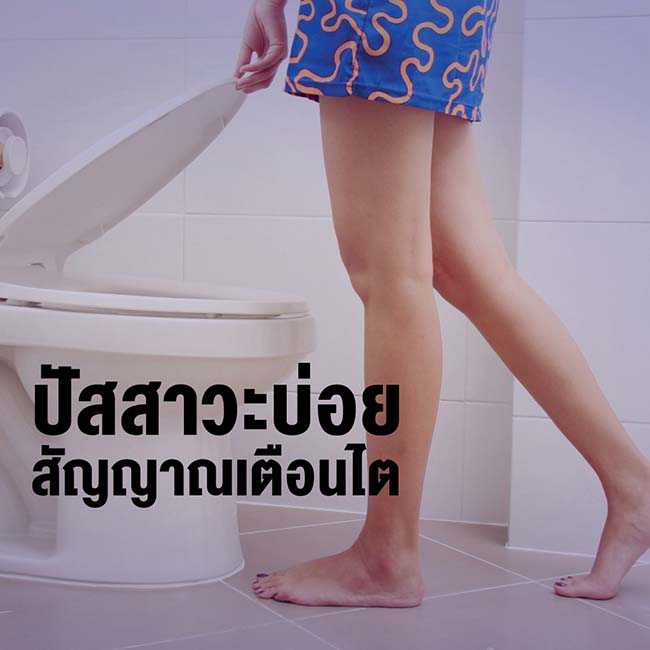 ปัสสาวะบ่อย สัญญาณอันตราย เอินเวย์มีทางออก รูปที่ 3