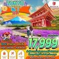 ทัวร์ TOKYO FUJI LAVENDER (5D3N)  เริ่มเพียง 17,999 บ.