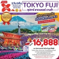 ทัวร์ญี่ปุ่น ซุปตาร์ ลาเวนเดอร์ บานฉ่ำ TOKYO FUJI 5D3N  เริ่มเพียง 16,888 บ.