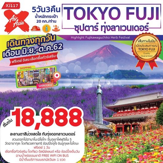 ทัวร์ญี่ปุ่น ซุปตาร์ ทุ่งลาเวนเดอร์ TOKYO FUJI 5D3N   เริ่มเพียง 18,888 บ. รูปที่ 1