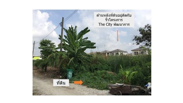 ขายที่ดิน ซอยอ่อนนุช – พัฒนาการตัดใหม่ อ่อนนุช 70/1 แยก 2-17 ขนาดพื้นที่ดิน 180 ตร.วา  รูปที่ 1