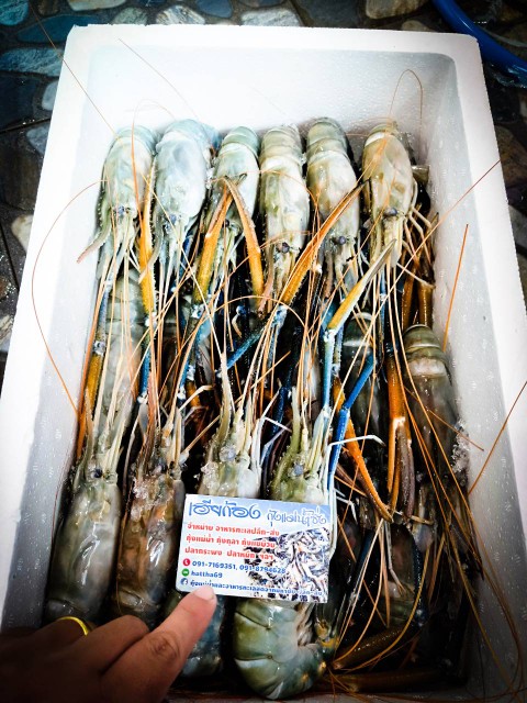 เฮียก้อง กุ้งแม่น้ำซิ่ง กุ้งแม่น้ำธรรมชาติแท้ ขนาดจัมโบ้ เนื้อเด้ง มันสวย  มีให้เลือกหลายขนาด รูปที่ 4