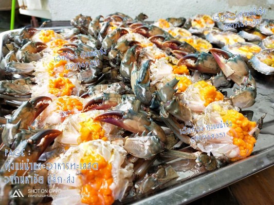 เฮียก้อง กุ้งแม่น้ำซิ่ง กุ้งแม่น้ำธรรมชาติแท้ ขนาดจัมโบ้ เนื้อเด้ง มันสวย  มีให้เลือกหลายขนาด รูปที่ 5