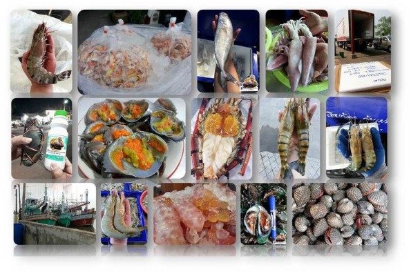 เฮียก้อง กุ้งแม่น้ำซิ่ง กุ้งแม่น้ำธรรมชาติแท้ ขนาดจัมโบ้ เนื้อเด้ง มันสวย  มีให้เลือกหลายขนาด รูปที่ 6