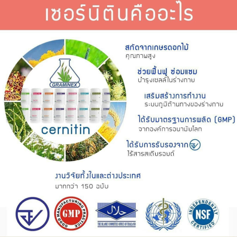 Cernitin เซอร์นิติน  ฟื้นฟูระดับเซลล์ทุกระบบของร่างกายที่มีปัญหาอย่างตรงจุด รูปที่ 3