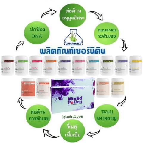 Cernitin เซอร์นิติน  ฟื้นฟูระดับเซลล์ทุกระบบของร่างกายที่มีปัญหาอย่างตรงจุด รูปที่ 4