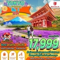 ทัวร์ TOKYO FUJI LAVENDER 5D3N  เริ่มเพียง 17,999 บ.