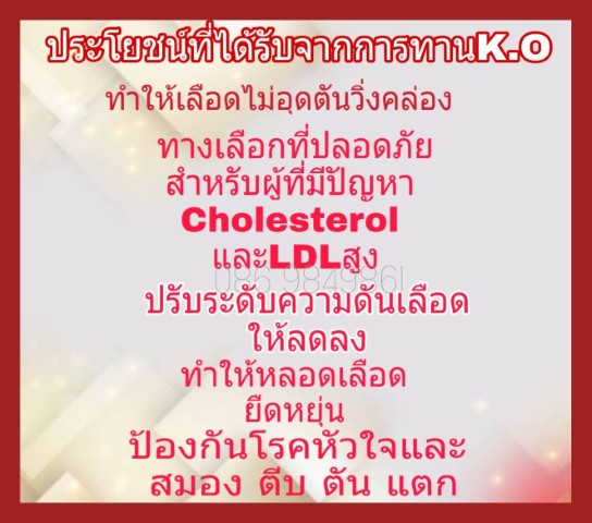 K O Blood System เค โอ ผลิตภัณฑ์บำรุงเลือด นวัตกรรมใหม่ ดูดซึมสูง  ดีจนประทับใจทั่วหน้า รูปที่ 4