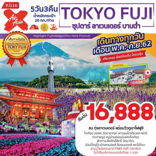 ทัวร์ญี่ปุ่น ซุปตาร์ ลาเวนเดอร์ บานฉ่ำ TOKYO FUJI 5D3N  ราคาเริ่มเพียง 16,888 บ. รูปที่ 1