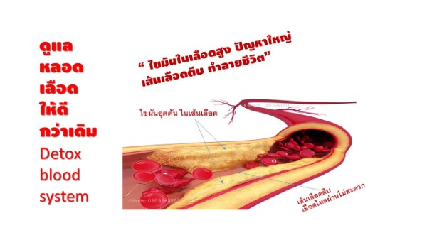 K O Blood System เค โอ ผลิตภัณฑ์บำรุงเลือด นวัตกรรมใหม่ ดูดซึมสูง  ดีจนประทับใจทั่วหน้า รูปที่ 3