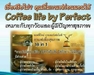 รูปย่อ กาแฟ คอฟฟี่ไทม์ กาแฟเพื่อสุขภาพ ไม่กดประสาท ไม่บีบหัวใจ ไม่มีน้ำตาล  คาเฟอีนต่ำ รูปที่2