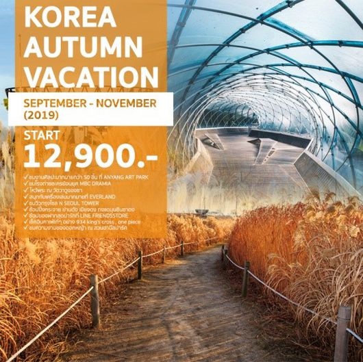 ทัวร์เกาหลี KOREA AUTUMN VACATION 5 วัน 3 คืน เริ่มเพียง 12,900 บ รูปที่ 1