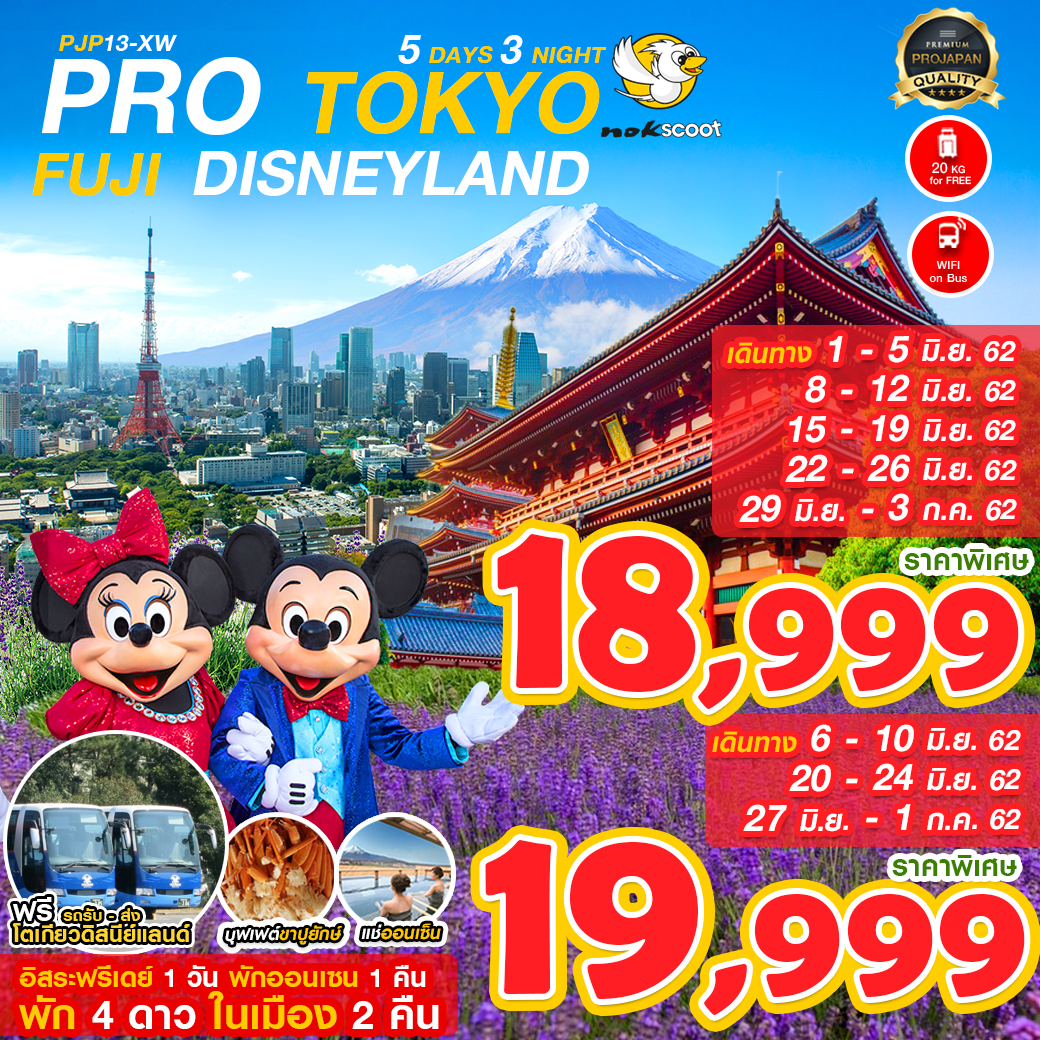 TOKYO FUJI DISNEYLAND 5D3N รูปที่ 1