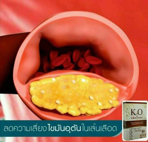 K O Blood System บำรุงและดีท๊อกซ์ระบบเลือด ตับ ไต  ช่วยบำรุงเลือด รูปที่ 6
