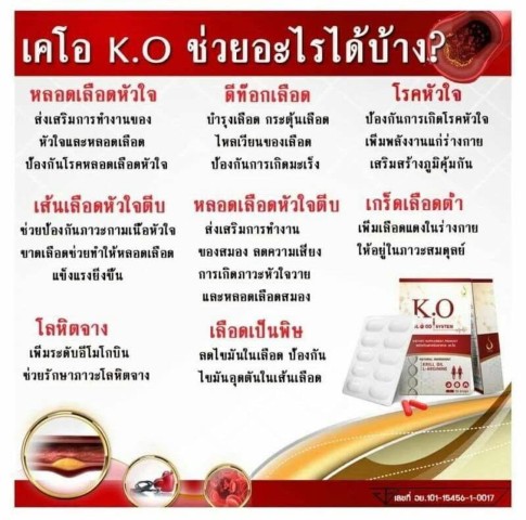 K O Blood System บำรุงและดีท๊อกซ์ระบบเลือด ตับ ไต  ช่วยบำรุงเลือด รูปที่ 3