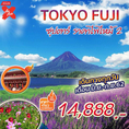 ทัวร์ญี่ปุ่น ซุปตาร์ ราคาไฟไหม้ 2 TOKYO FUJI 5D3N เริ่มเพียง 14,888 บ.