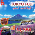 ทัวร์ญี่ปุ่น ซุปตาร์ ราคาไฟไหม้ 1 TOKYO FUJI 5D3N เริ่มเพียง 14,888 บ.