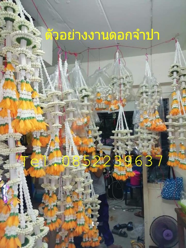 ดอกจำปา ดอกจำปี ประดิษฐ์เกรดเอ รูปที่ 5