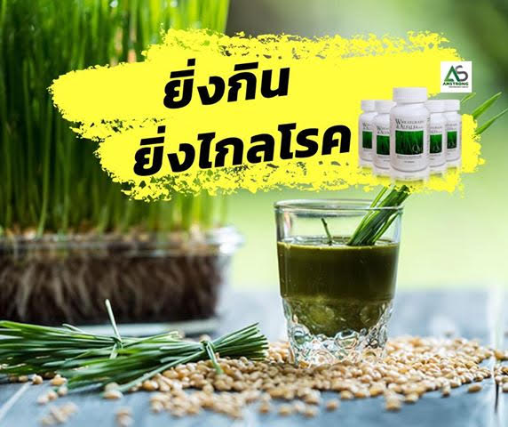 ทานผักสดได้ทุกวัน แค่เพียง เปิดกระปุก หยิบผักพร้อมทาน 1 เม็ดเท่ากับทานผัก 1  ชามโตๆ รูปที่ 4