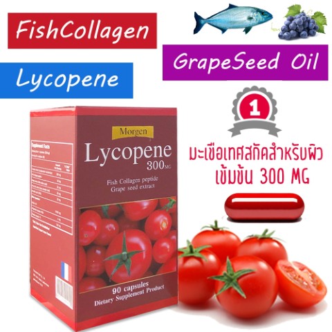 Morgen Lycopene 300 MG ขนาด 90 แคปซูล มะเขือเทศสำหรับผิว  สารสกัดจากฝรั่งเศส รูปที่ 3