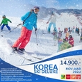 ทัวร์เกาหลี KOREA SKI DELUXE 5 วัน 3 คืน เริ่มเพียง 14,900 บ.