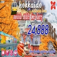 ทัวร์ญี่ปุ่น Hokkaido Autumn Love 5D3N เริ่มเพียง 24,888 บ.