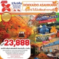 ทัวร์ญี่ปุ่น HOKKAIDO ซุปตาร์ ใบไม้เปลี่ยนสี หวานเย็น 5D3N เริ่มเพียง 23,888 บ.