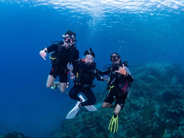 Thailand Scuba Diving: Open Water Diver Course – Special Promotion!! รูปที่ 5