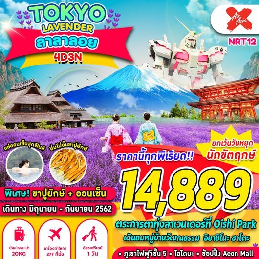 ทัวร์ญี่ปุ่น TOKYO FUJI LAVENDER 4D3N เริ่มเพียง 14,889 บ. รูปที่ 1