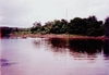รูปย่อ ขายที่ดินทำเลทอง 100 ไร่ ติดแม่น้ำน่านตลอดแนวที่ดิน อ.ท่าปลา จ.อุตรดิตถ์ รูปที่2