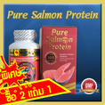 Pure Salmon Protein โปรตีน 100% จากเนื้อปลาแซลม่อนน้ำลึก