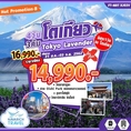 ลดราคา ทัวร์ญี่ปุ่น โตเกียว ทุ่งลาเวนเดอร์ Tokyo Lavender 4วัน3คืน  XJ 14990 31สค-3กย62