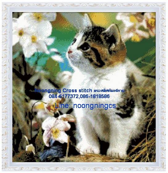 ร้าน noogningcrosstitch ครอสติสพิมพ์ลาย จำหน่ายชุดปักครอสติส ครอสติสคริสตรัล DiamondPainting DIYง่า1626ยๆ รูปที่ 1