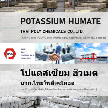 Potassium Humate, โปแตสเซียมฮิวเมต, โพแทสเซียมฮิวเมต, Humic acid, ฮิวมิคแอซิด, กรดฮิวมิค รูปที่ 1