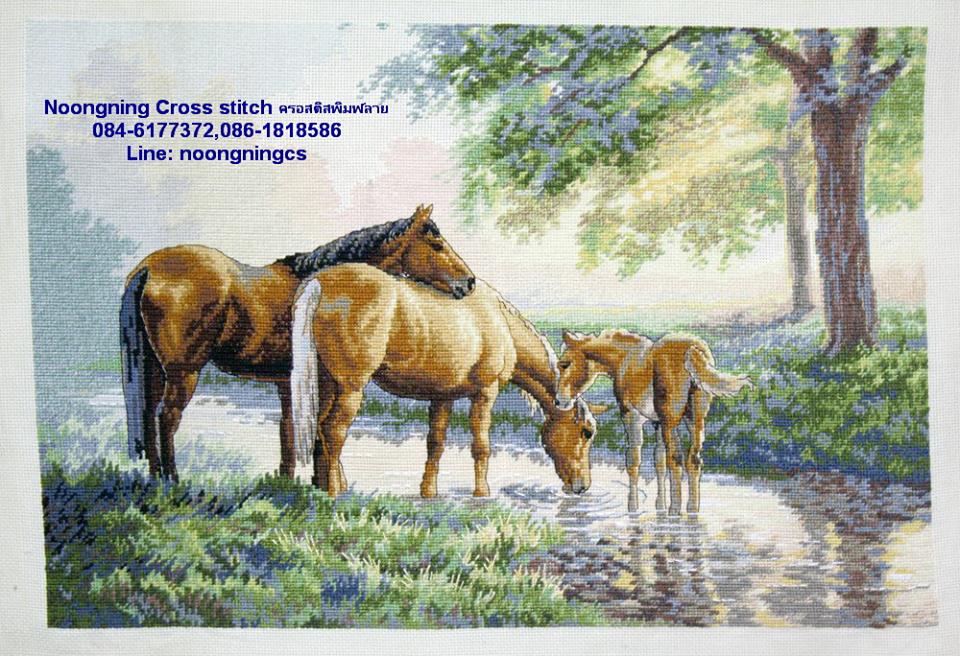 ร้าน noogningcrosstitch ครอสติสพิมพ์ลาย จำหน่ายชุดปักครอสติส ครอสติสคริสตรัล DiamondPainting DIYง่ายๆ1707 รูปที่ 1