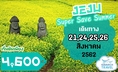 ทัวร์เกาหลี ทัวร์เชจู เกาหลีใต้ ถูกสุดๆ 4วัน 4600 รวมตั๋ว,ที่พัก 21-24สค62