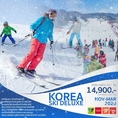 ทัวร์เกาหลี KOREA SKI DELUXE 5 วัน 3 คืน เริ่ม 14,900 บ