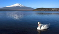 ทัวร์ญี่ปุ่น-ซุปตาร์ เลิฟฟุกุชิม่า TOKYO FUJI FUKUSHIMA 5 วัน 3 คืน (XJ)